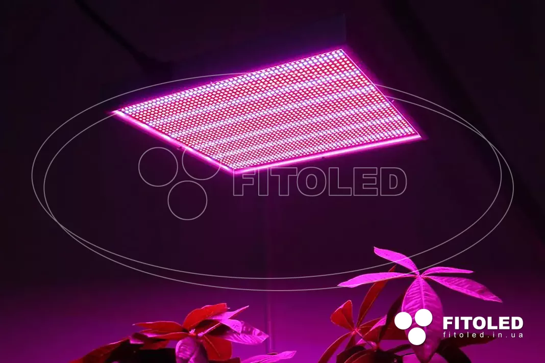 Панельні світлодіодні лампи для рослин