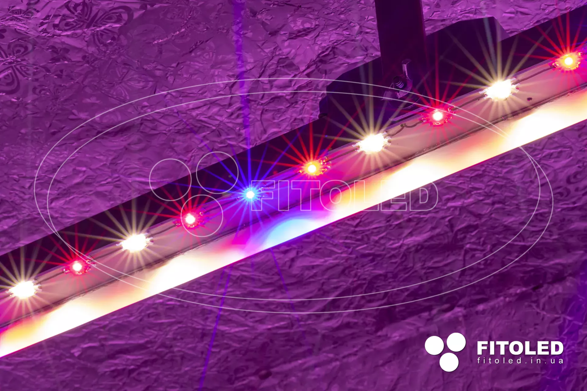 Linear LED lamps for plants